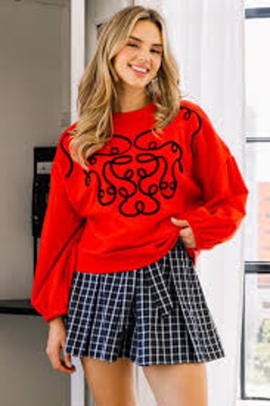 NWT ODDY 3X Darla Embroidered Long Puff Sleeve Top